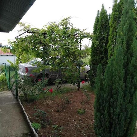 Cozy House Cvetkovic Villa Nis Bagian luar foto