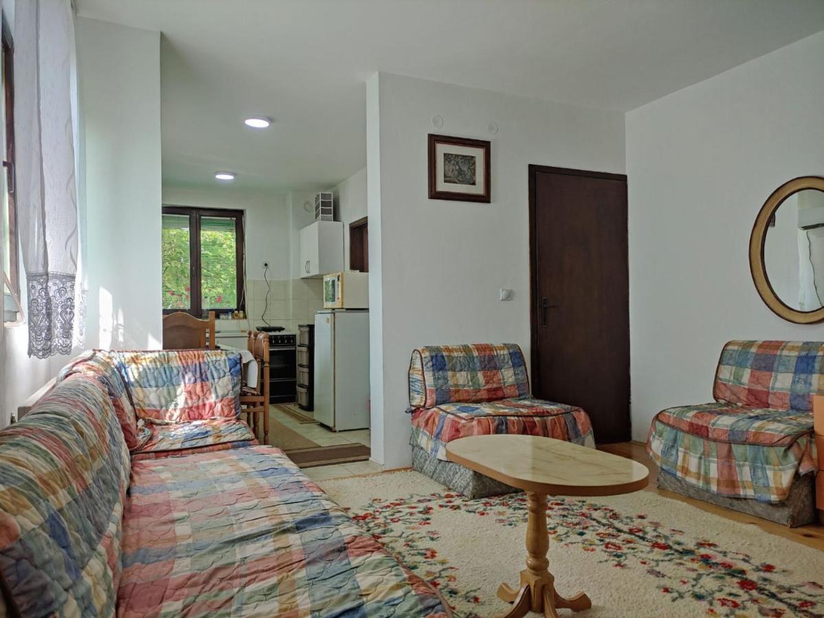 Cozy House Cvetkovic Villa Nis Bagian luar foto