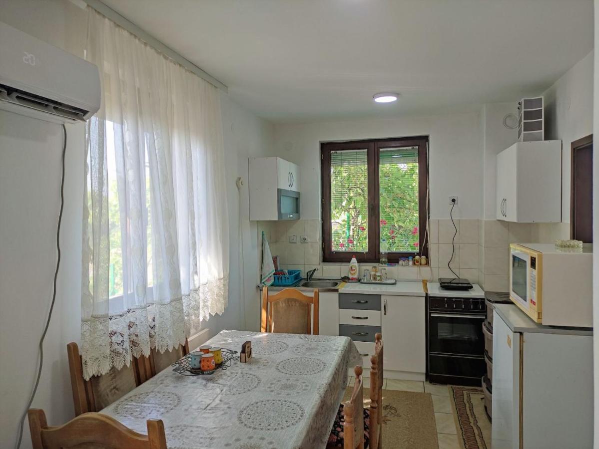 Cozy House Cvetkovic Villa Nis Bagian luar foto