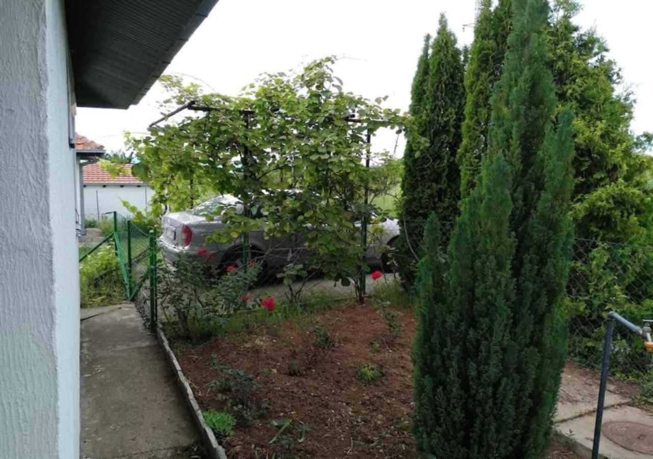 Cozy House Cvetkovic Villa Nis Bagian luar foto